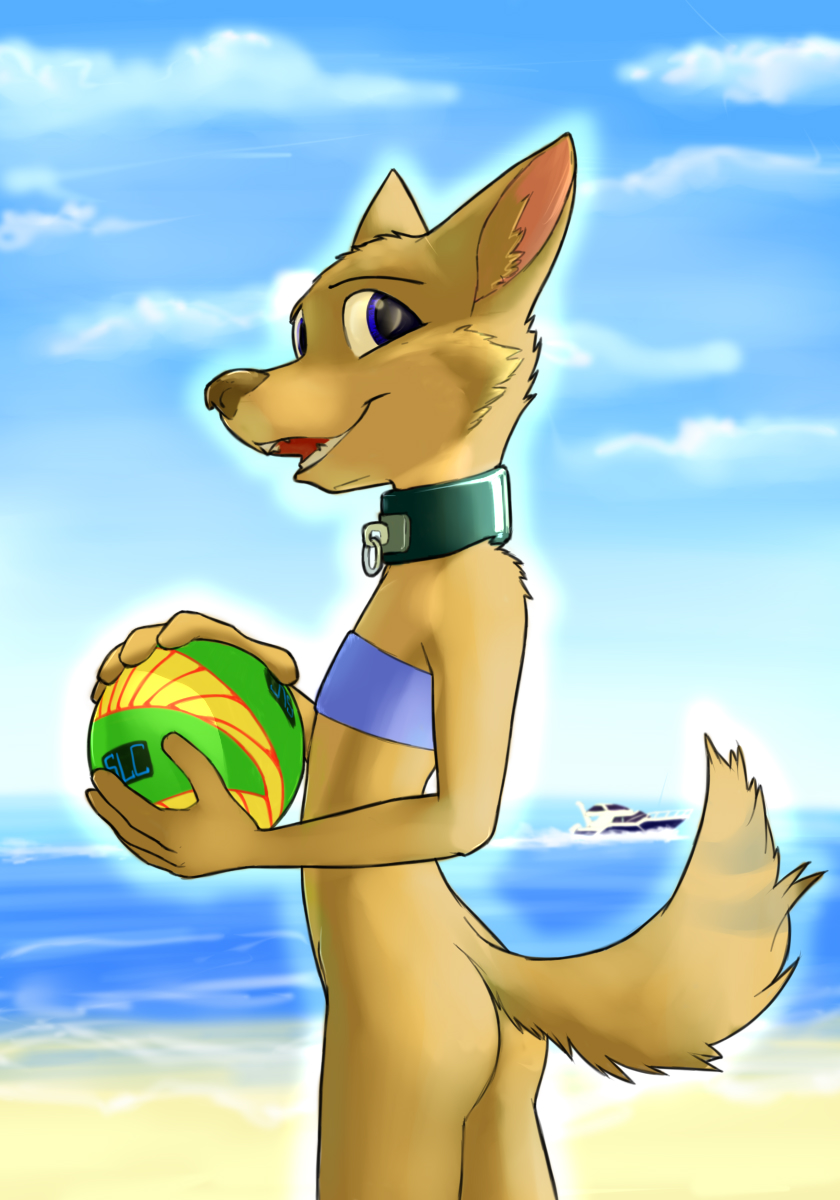 Taylor at the Beach by misterpickleman < Submission | Inkbunny, the Furry  Art Community