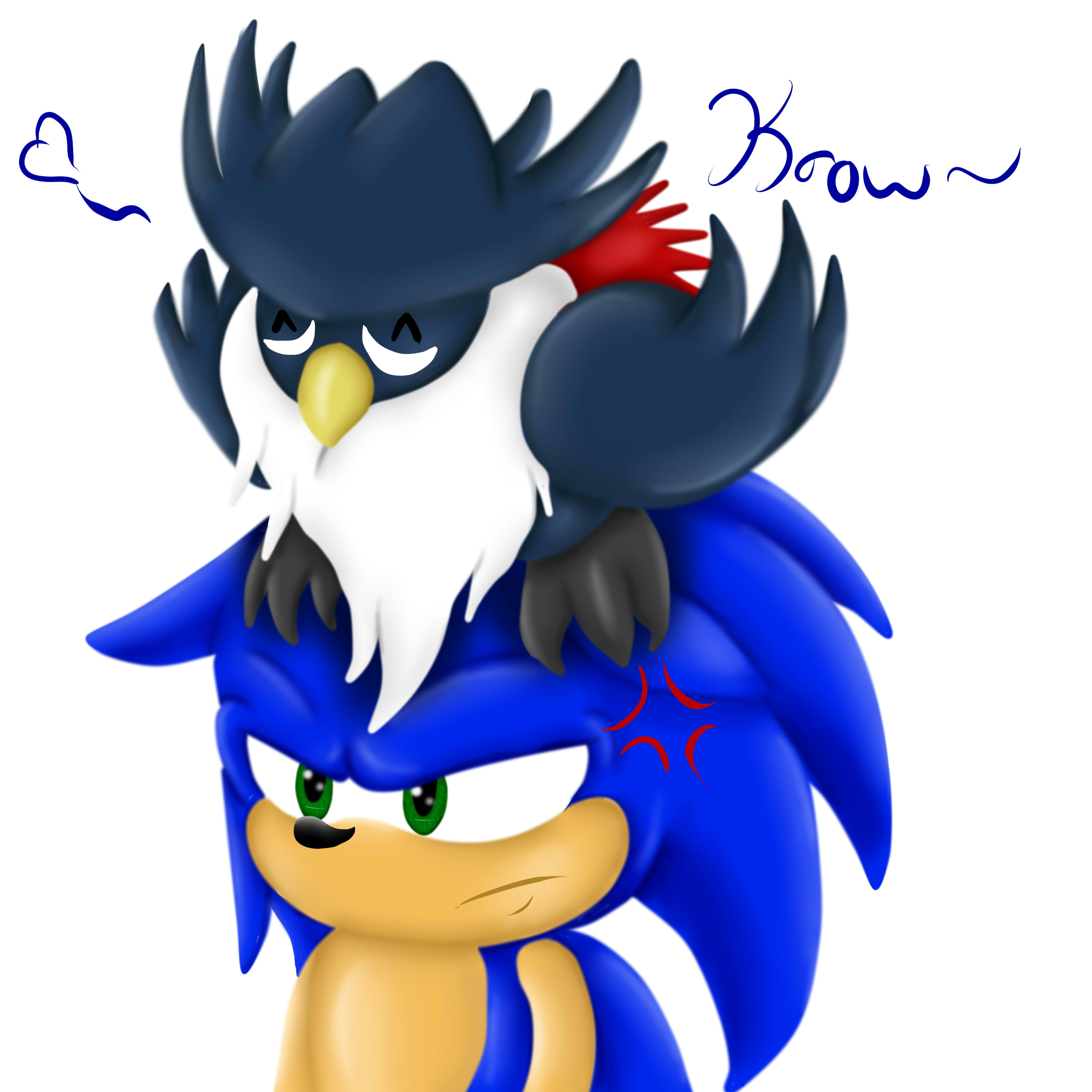 Sonic is Not Amused by AoiFoxtrot