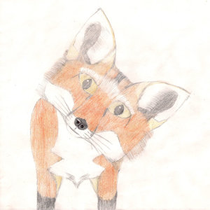 Curious Kit by CuriousKit