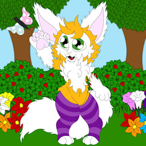 #1 - Coelhoposa de Meias by Coelhoposa