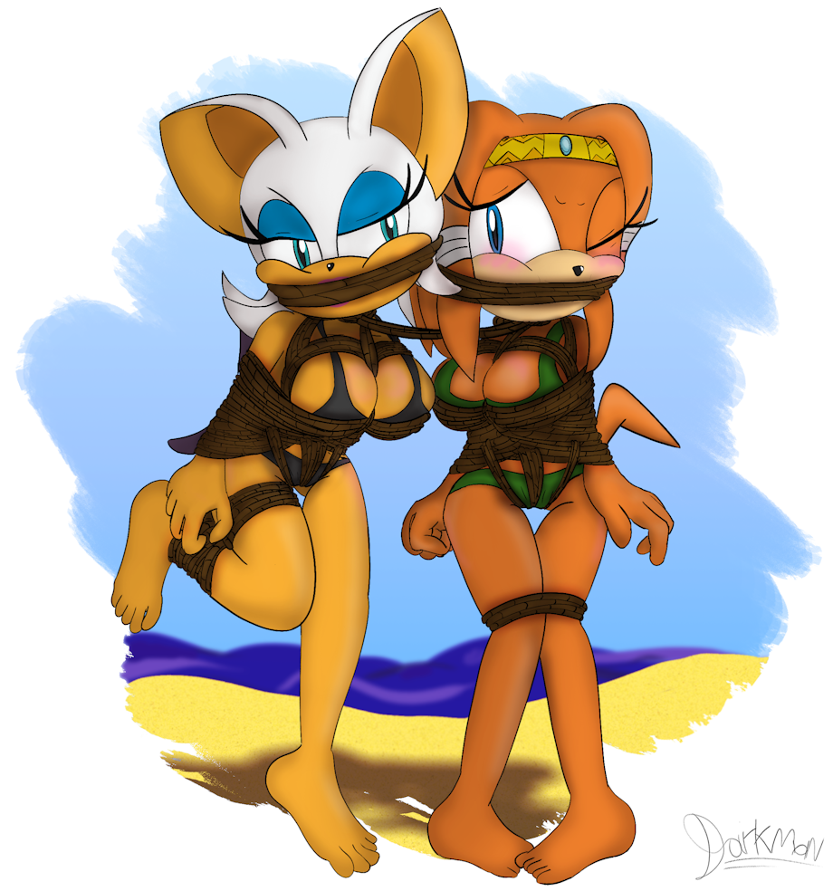 Rouge and Tikal tightly tied by DMZ < Submission | Inkbunny, the Furry Art  Community