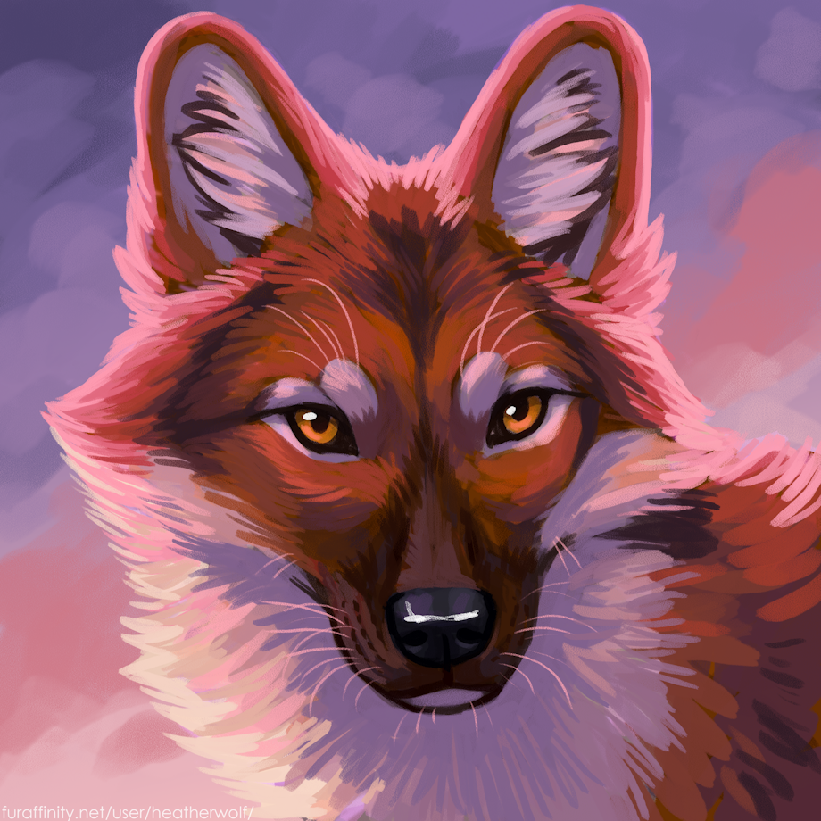 dhole portrait by Noxy