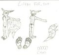 Eclipse Folf (updated, body ref) by Eclipsethefolf