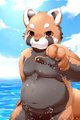 Red panda by okunawa