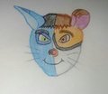 Two faced by GrooDeeAussieroo