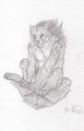 The box by TheRedRaptor