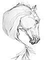 Stallion head tattoo design by Masunga