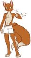 Kannet Ref by KannetKitsune
