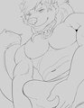 bonner alert by Diraiko