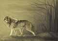 Silence by Raikhan