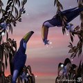 tucans in love  by Schiraki