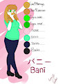 Meet The Fursona by BaniBows