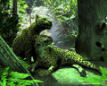 two jaguars by Schiraki