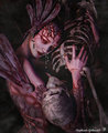 my lost love by Schiraki