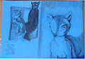 Carnague Jhonson (Carmy) verci&oacute;n lapiz y tinta by Lobezno