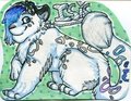 Poonie Badge trade 2/2 by Zinners
