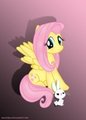 Cute Fluttershy by martybpix