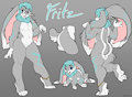Updated reference by fritzbunbun