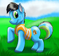 Groo Hybrid : Pony Groo by GrooDeeAussieroo