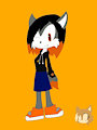 My Sonic OCs by NovaTheLucario