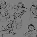 Testing new turtles by anomalae