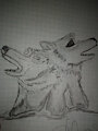 Wolves by blindrabbit