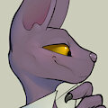 Beerus & Shin Kuroi Clothes Swap - Togaed DA Com #2 by MrAnonArtemis