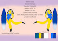 Ref sheet commission Cindy by Thundefair