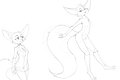 Studies by Asue