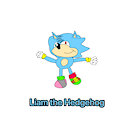 Liam the Hedgehog by LiamTrollslover