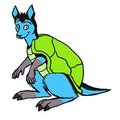 Turtle-roo by GrooDeeAussieroo