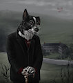 A shepherd's rumination by TheDarkcollie