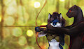 Bow Training by UnseenPanther