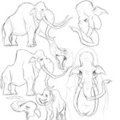 columbian mammoths by boarlore