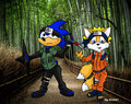 Sonic and Tails Shinobi by BARK