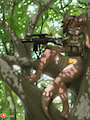 forest aim by MrShin