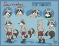 Scribbles the raccoon by pandapaco