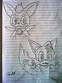 Chip and Tails by TairenuKitty