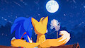 SonTails&middot;2024&middot;Mid-Autumn Festival by StarDreamOSX