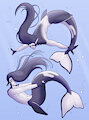 Glacial poses by SeaDewGin