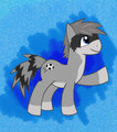Rabid the Ponycoon by RabidRaccoon