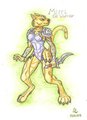 Mirri, Cat Warrior by DirtyWolf