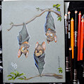 Australian Bat by pandapaco