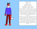 Aritz The Fox Reference Sheet by TerryTheBlueFox