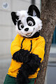 The Panda Boy by pandapaco