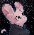 star gazing by Animancer