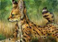 The Patient Huntress  by SilentRavyn