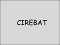 Cirebat