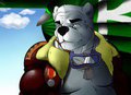 Solobear Commission by WerepyreWarrior