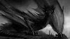 DragonLord729